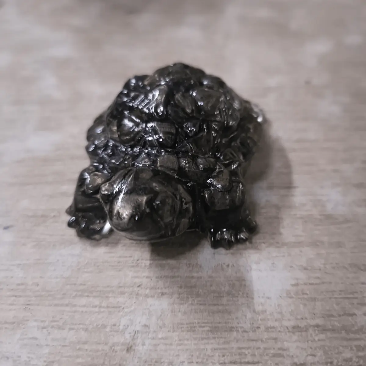 Pyrite Tortoise - Image 2