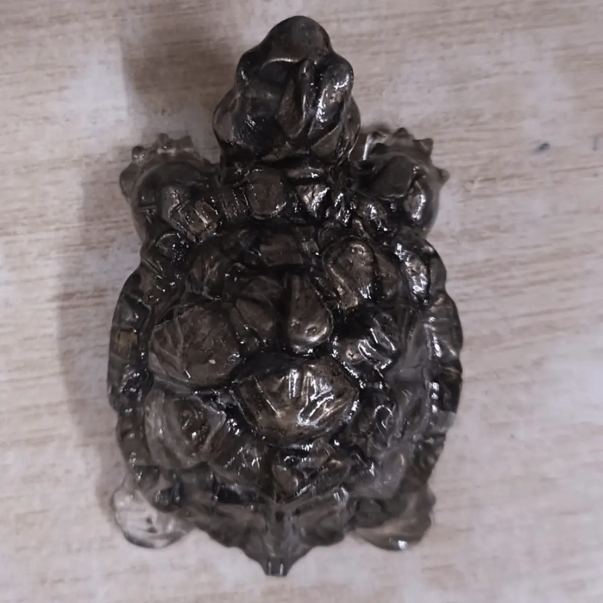 pyrite tortoise